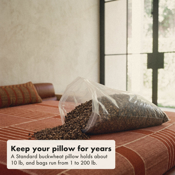 A clear bag of pre-polished buckwheat hulls lying on a rust striped bedspread, a small spill of flat, single-sided hulls run out of the open top, labelled: a Standard buckwheat pillow holds about 10 lb, bags from 1 to 200 lb.