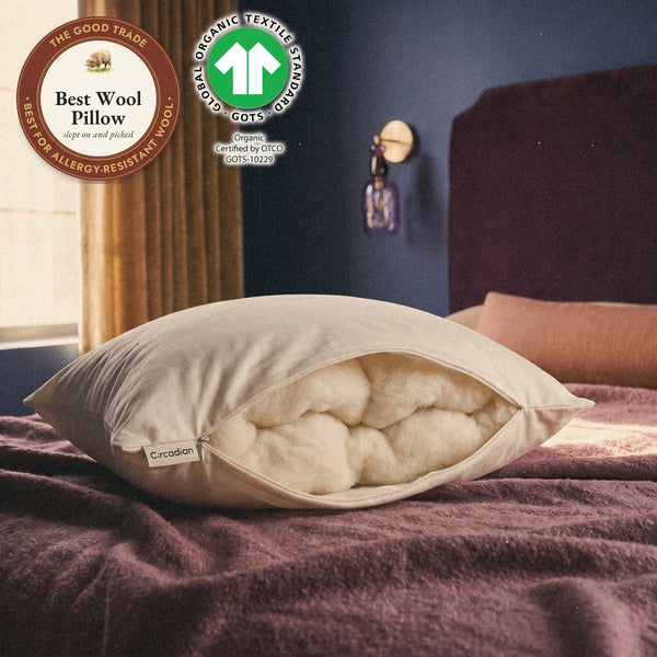 Circadian Organic Wool Pillow