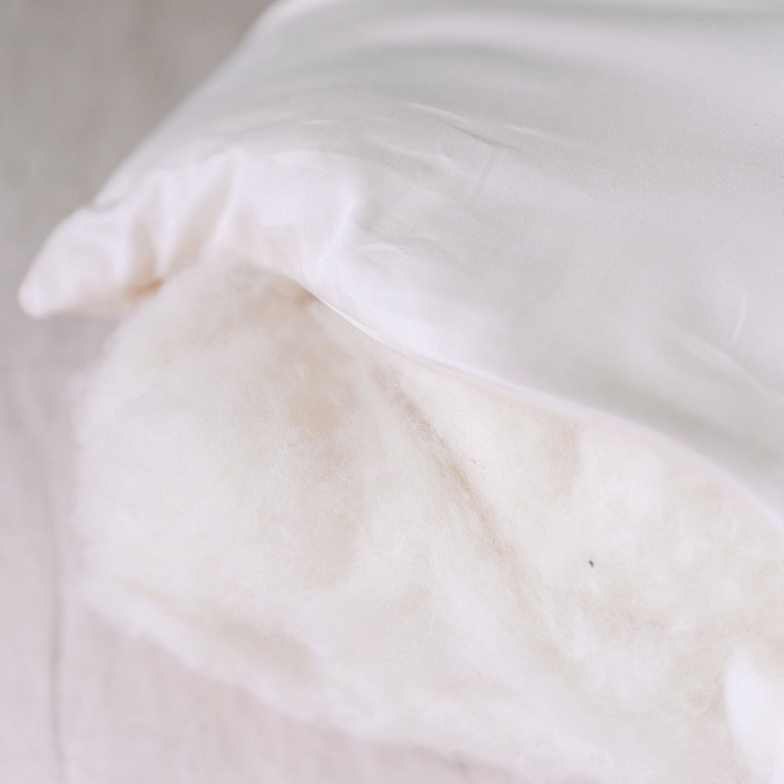 A close view of a Circadian Organic Wool Pillow with the cover open along the edge, showing the organic wool inside