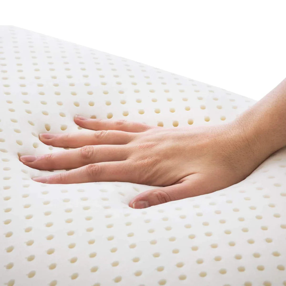 Talalay vs Dunlop Latex Pillow