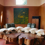 Six natural Circadian pillows — buckwheat, kapok, cotton, wool, latex, and hybrid