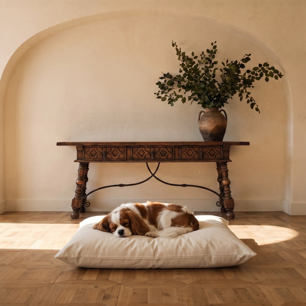 Size guide: Cavalier King Charles Spaniel on the Medium 28 by 21 inch Circadian dog bed