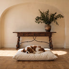Size guide: Cavalier King Charles Spaniel on the Medium 28 by 21 inch Circadian dog bed
