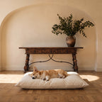 Size guide: Pembroke Welsh Corgi lying flat on the Large 36 by 24 inch Circadian dog bed