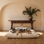 Size guide: Australian Shepherd sprawled on the X-Large 40 by 27 inch Circadian dog bed