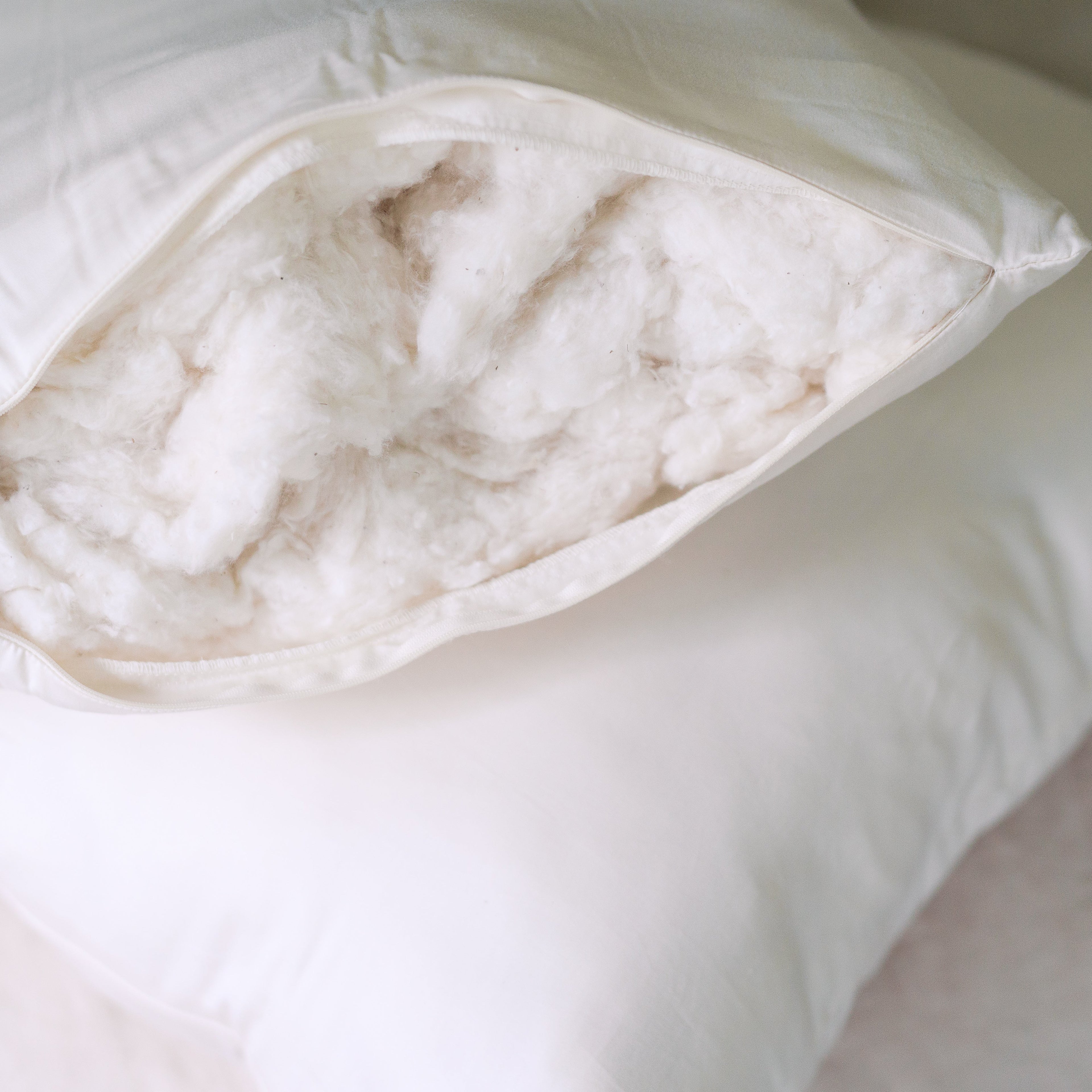 Close-up of a Circadian Organic Cotton Pillow unzipped, revealing the fluffy organic cotton fill that can be removed to adjust loft.