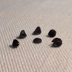 Buckwheat Hulls for Pillows