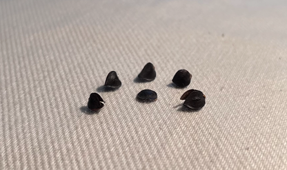 Buckwheat Hulls for Pillows