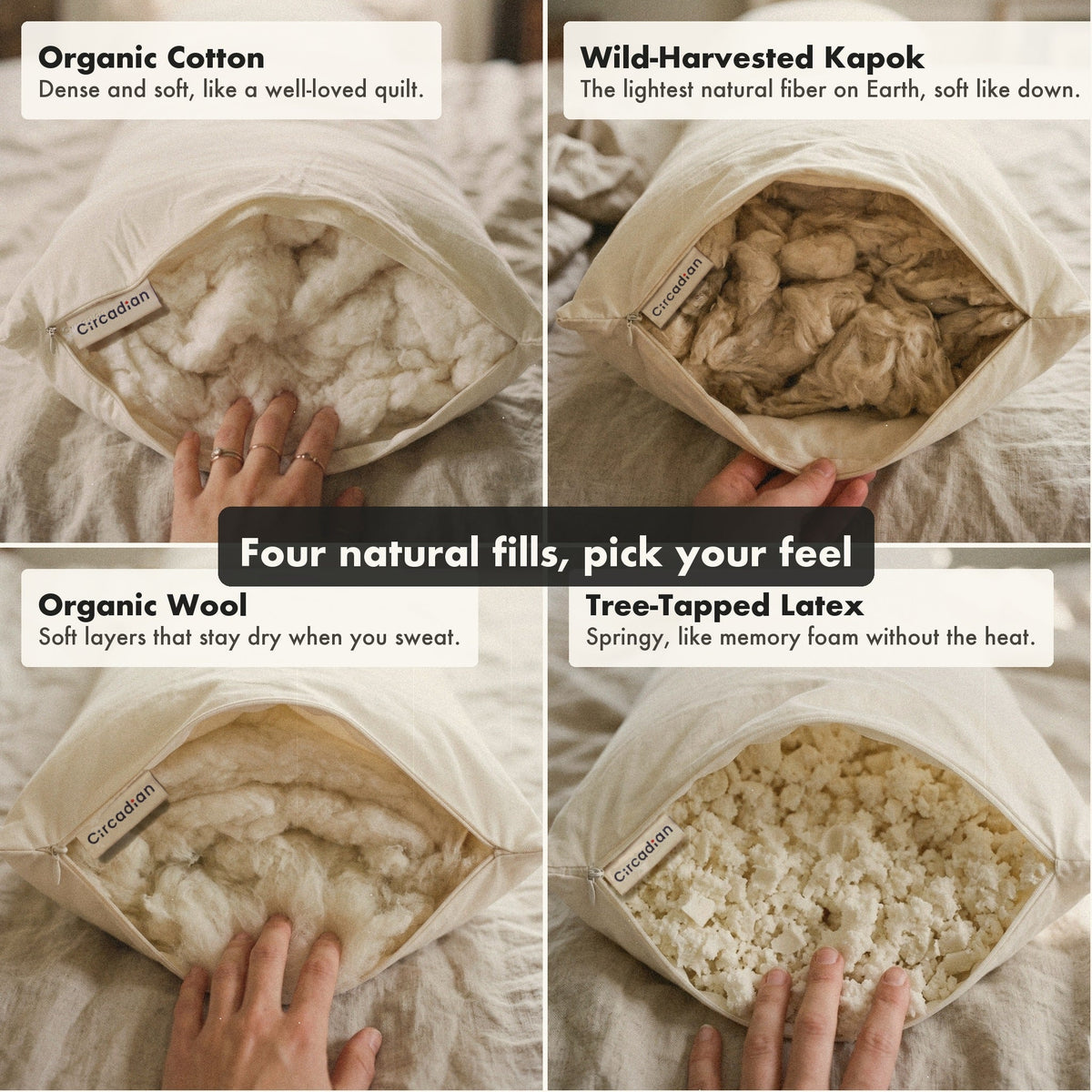 The four fills of the Circadian Body Pillow, each seen in the open end: organic cotton, dense and soft; wild-harvested kapok, the lightest natural fiber on Earth; organic wool, soft layers that stay dry; and tree-tapped latex, springy like memory foam without the heat.