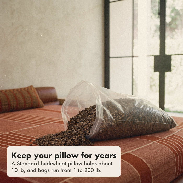A clear bag of pre-polished buckwheat hulls lying on a rust striped bedspread, a small spill of flat, single-sided hulls run out of the open top, labelled: a Standard buckwheat pillow holds about 10 lb, bags from 1 to 200 lb.