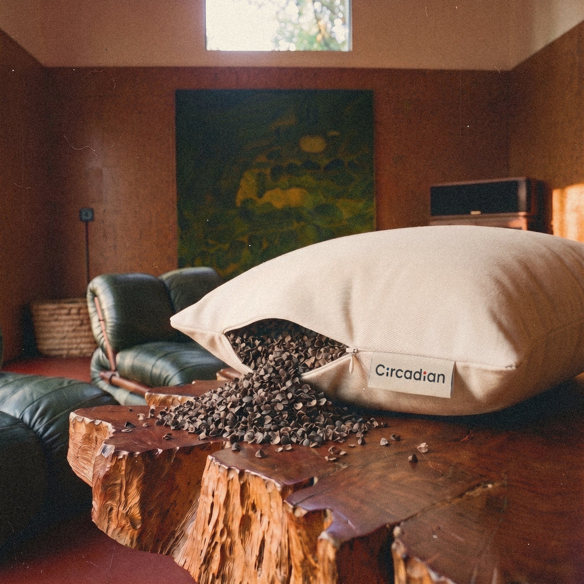 A Circadian Buckwheat Pillow on a live-edge wood table with its end unzipped and buckwheat hulls spilling across the wood.