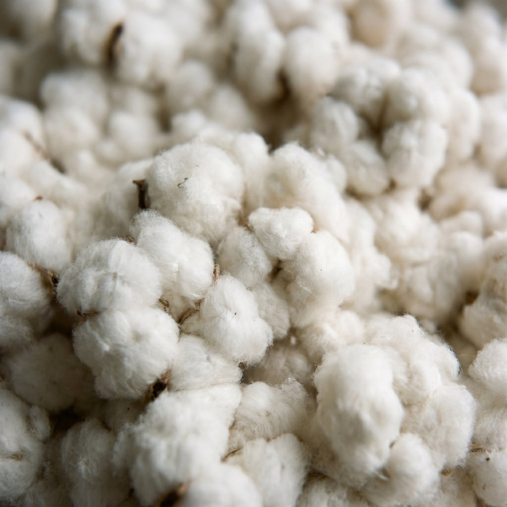 Organic Cotton Pillow