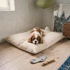 A happy Cavalier King Charles spaniel rests its chin on the Circadian dog bed beside the woven Circadian tag.