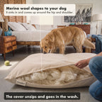 A golden retriever sniffs the open dog bed. Washable merino wool inside.