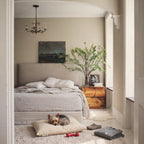 A Yorkshire terrier curled up on the Small Circadian dog bed beside a bed.
