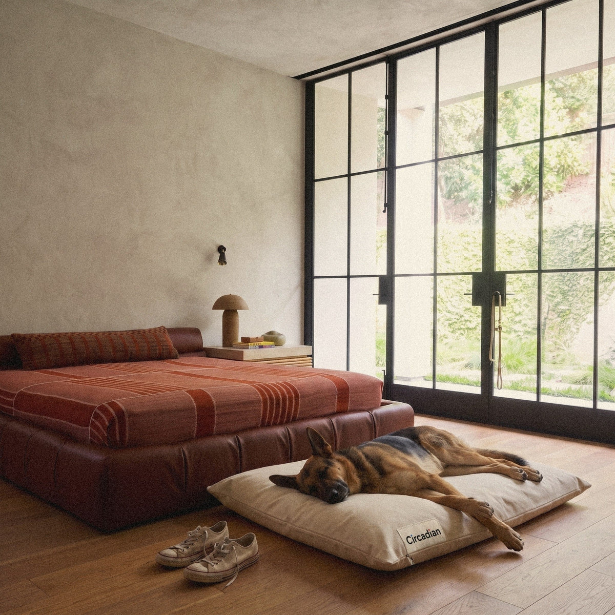 A German Shepherd stretched out asleep on the X-Large Circadian dog bed by tall garden windows.