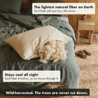 Fluffy kapok puffs out of the open pillow. It is the lightest natural fiber on Earth.