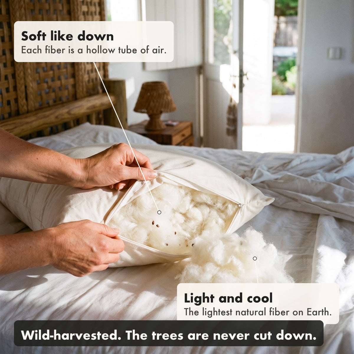 The Wild-Harvested Kapok Pillow opened at the zipper to show its fill. Soft like down: Each fiber is a hollow tube of air. Light and cool: The lightest natural fiber on Earth. Wild-harvested. The trees are never cut down.