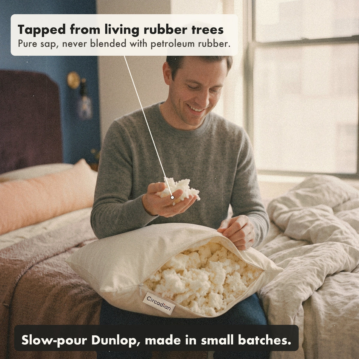 A smiling man sits on his bed with the Tree-Tapped Latex Pillow open on his lap, holding a handful of the soft latex pieces, with labels: tapped from living rubber trees, slow-pour Dunlop made in small batches.