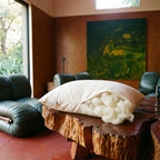 Circadian Organic Wool Pillow