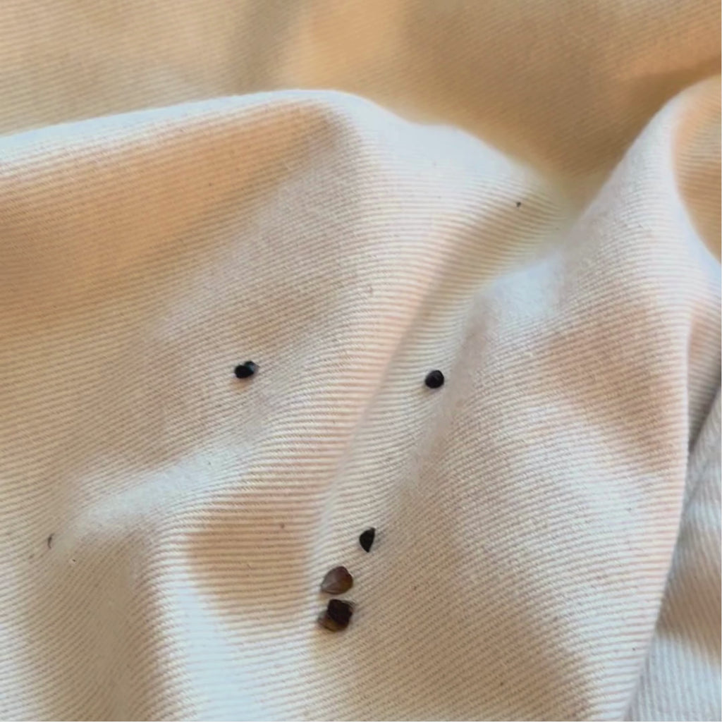 Circadian Buckwheat Pillow