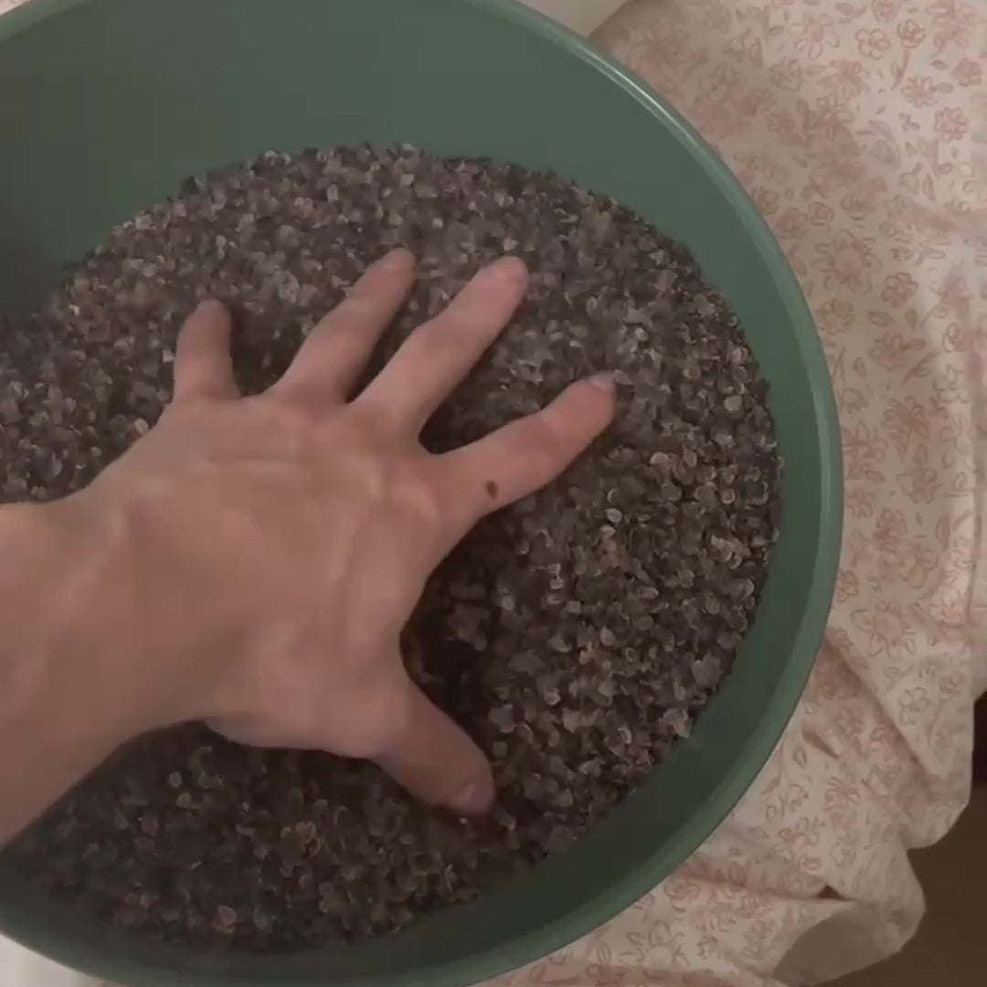 A hand presses into a bowl of buckwheat hulls from the Circadian Buckwheat Pillow, and the hulls shift around the fingers.