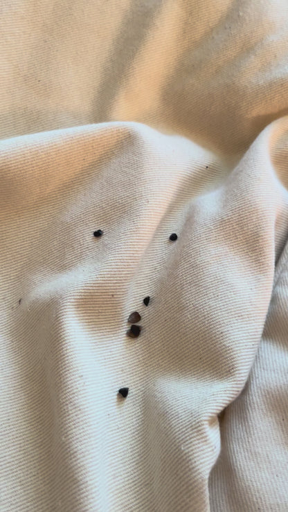 Circadian Buckwheat Pillow