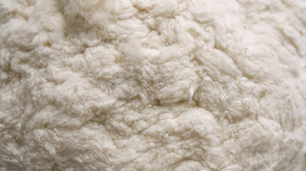 Macro of soft organic cotton fill used in the Circadian Body Pillow.