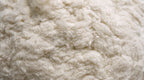 Macro of soft organic cotton fill used in the Circadian Body Pillow.