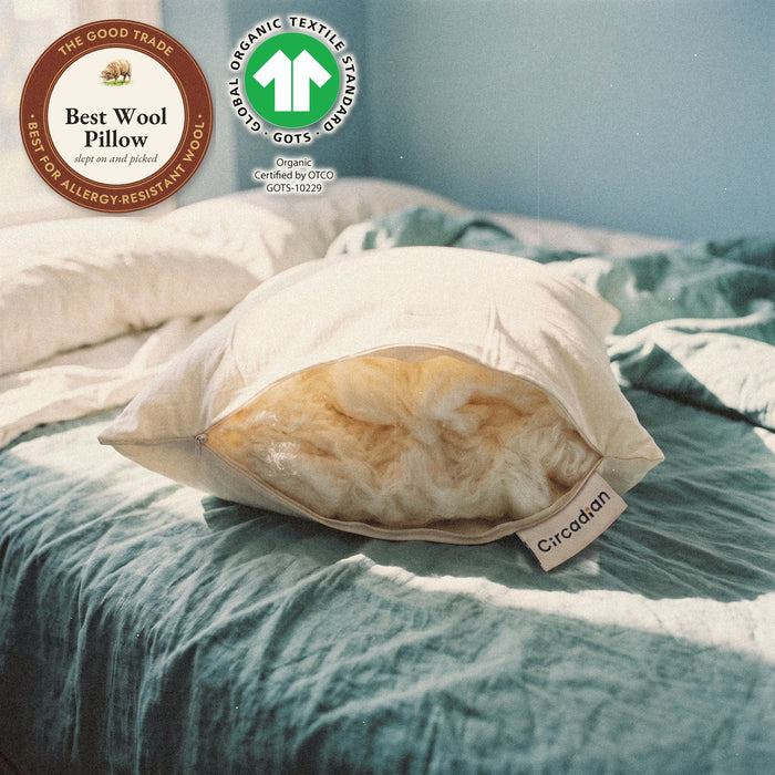 A Circadian Organic Wool Pillow on a teal blanket in morning sun, its end unzipped to show soft layers of wool batting inside, with The Good Trade seal (best wool pillow, best for allergy-resistant wool) and the GOTS label: Organic, certified by OTCO, GOTS-10229.